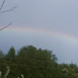 Meet your Posher, Marilyn